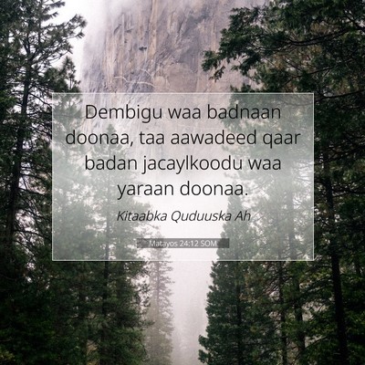 Picture 07 - Matayos 24:12 SOM - Dembigu waa badnaan doonaa, taa aawadeed qaar - Bible Verse Picture