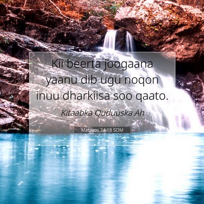 Picture 07 - Matayos 24:18 SOM - Kii beerta joogaana yaanu dib ugu noqon inuu - Bible Verse Picture
