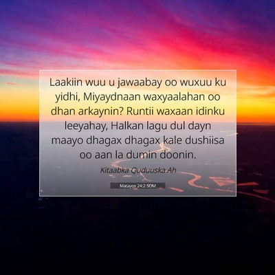 Picture 07 - Matayos 24:2 SOM - Laakiin wuu u jawaabay oo wuxuu ku yidhi, - Bible Verse Picture