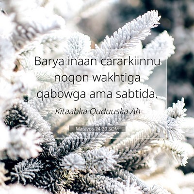Picture 07 - Matayos 24:20 SOM - Barya inaan cararkiinnu noqon wakhtiga qabowga - Bible Verse Picture