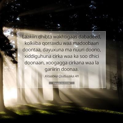 Picture 07 - Matayos 24:29 SOM - Laakiin dhibta wakhtigaas dabadeed, kolkiiba - Bible Verse Picture