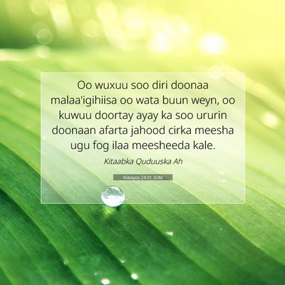 Picture 07 - Matayos 24:31 SOM - Oo wuxuu soo diri doonaa malaa'igihiisa oo wata - Bible Verse Picture