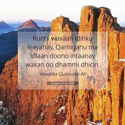 Picture 07 - Matayos 24:34 SOM - Runtii waxaan idinku leeyahay, Qarniganu ma - Bible Verse Picture