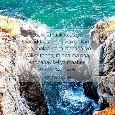 Picture 07 - Matayos 24:36 SOM - Laakiin maalintaas iyo saacaddaas ninna waxba - Bible Verse Picture