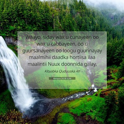 Picture 07 - Matayos 24:38 SOM - Waayo, siday wax u cunayeen oo wax u cabbayeen, - Bible Verse Picture