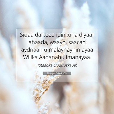 Picture 07 - Matayos 24:44 SOM - Sidaa darteed idinkuna diyaar ahaada, waayo, - Bible Verse Picture