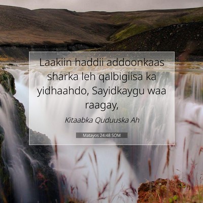 Picture 07 - Matayos 24:48 SOM - Laakiin haddii addoonkaas sharka leh qalbigiisa - Bible Verse Picture