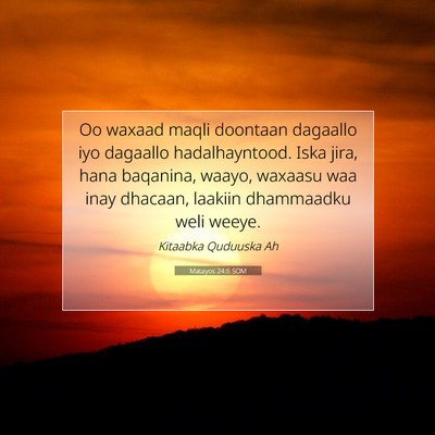Picture 07 - Matayos 24:6 SOM - Oo waxaad maqli doontaan dagaallo iyo dagaallo - Bible Verse Picture