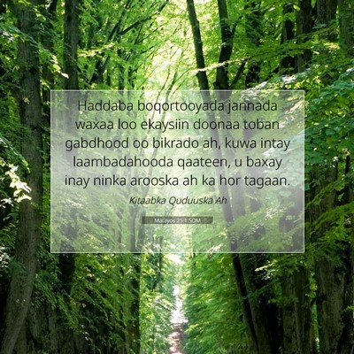 Picture 07 - Matayos 25:1 SOM - Haddaba boqortooyada jannada waxaa loo ekaysiin - Bible Verse Picture