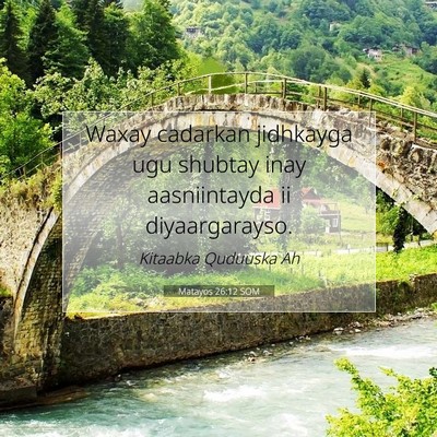Picture 07 - Matayos 26:12 SOM - Waxay cadarkan jidhkayga ugu shubtay inay - Bible Verse Picture