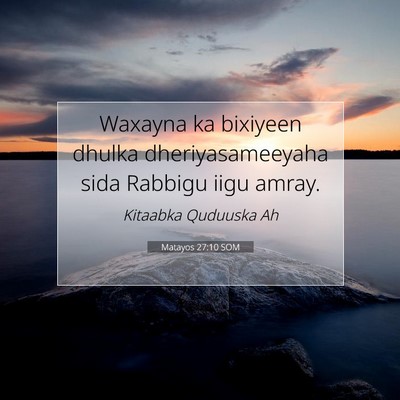 Picture 07 - Matayos 27:10 SOM - Waxayna ka bixiyeen dhulka dheriyasameeyaha sida - Bible Verse Picture