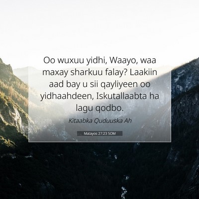 Picture 07 - Matayos 27:23 SOM - Oo wuxuu yidhi, Waayo, waa maxay sharkuu falay? - Bible Verse Picture