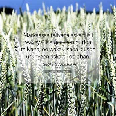 Picture 07 - Matayos 27:27 SOM - Markaasaa taliyaha askartiisii waxay Ciise - Bible Verse Picture