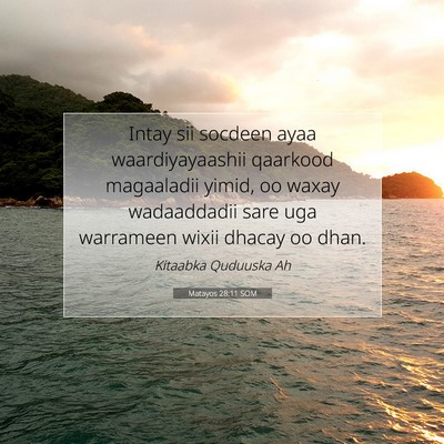 Picture 07 - Matayos 28:11 SOM - Intay sii socdeen ayaa waardiyayaashii qaarkood - Bible Verse Picture