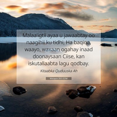 Picture 07 - Matayos 28:5 SOM - Malaa'igtii ayaa u jawaabtay oo naagihii ku - Bible Verse Picture