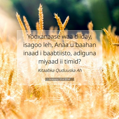 Picture 07 - Matayos 3:14 SOM - Yooxanaase waa diiday, isagoo leh, Anaa u baahan - Bible Verse Picture