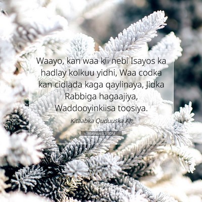 Picture 07 - Matayos 3:3 SOM - Waayo, kan waa kii nebi Isayos ka hadlay kolkuu - Bible Verse Picture