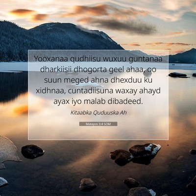 Picture 07 - Matayos 3:4 SOM - Yooxanaa qudhiisu wuxuu guntanaa dharkiisii - Bible Verse Picture