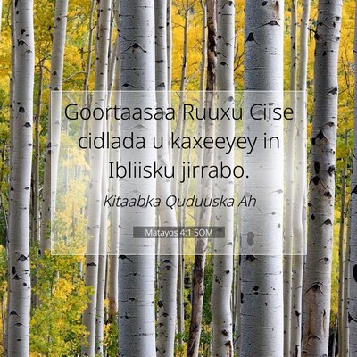 Picture 07 - Matayos 4:1 SOM - Goortaasaa Ruuxu Ciise cidlada u kaxeeyey in - Bible Verse Picture