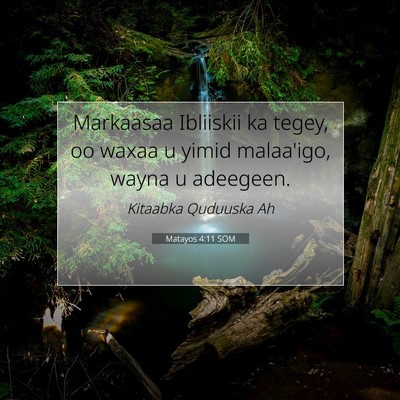 Picture 07 - Matayos 4:11 SOM - Markaasaa Ibliiskii ka tegey, oo waxaa u yimid - Bible Verse Picture