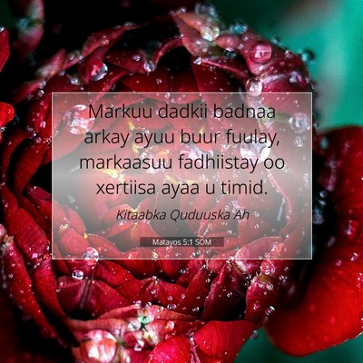 Picture 07 - Matayos 5:1 SOM - Markuu dadkii badnaa arkay ayuu buur fuulay, - Bible Verse Picture