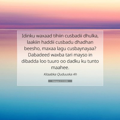 Picture 07 - Matayos 5:13 SOM - Idinku waxaad tihiin cusbadii dhulka, laakiin - Bible Verse Picture