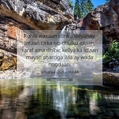 Picture 07 - Matayos 5:18 SOM - Runtii waxaan idinku leeyahay, Intaan cirka iyo - Bible Verse Picture