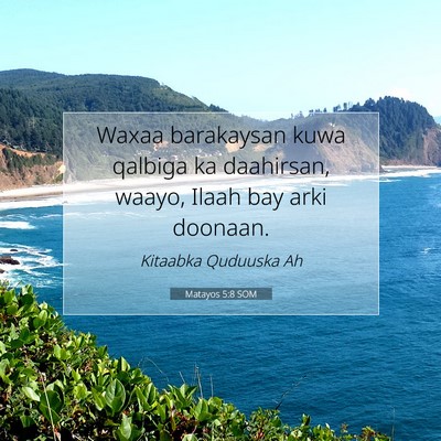 Picture 07 - Matayos 5:8 SOM - Waxaa barakaysan kuwa qalbiga ka daahirsan, - Bible Verse Picture