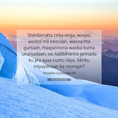 Picture 07 - Matayos 6:26 SOM - Shimbirraha cirka eega, waayo, waxba ma beeraan, - Bible Verse Picture