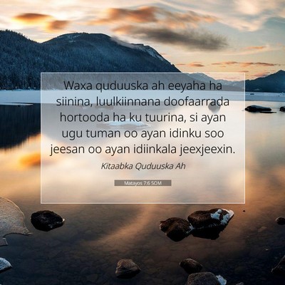 Picture 07 - Matayos 7:6 SOM - Waxa quduuska ah eeyaha ha siinina, luulkiinnana - Bible Verse Picture