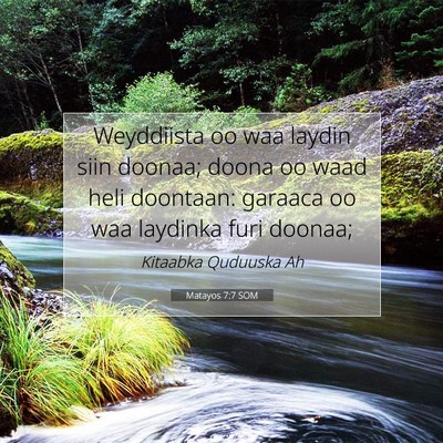 Picture 07 - Matayos 7:7 SOM - Weyddiista oo waa laydin siin doonaa; doona oo - Bible Verse Picture
