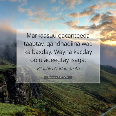 Picture 07 - Matayos 8:15 SOM - Markaasuu gacanteeda taabtay, qandhadiina waa ka - Bible Verse Picture