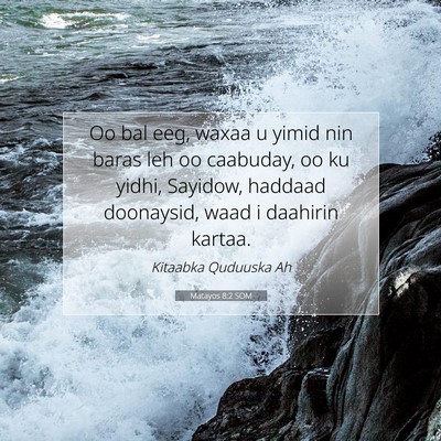 Picture 07 - Matayos 8:2 SOM - Oo bal eeg, waxaa u yimid nin baras leh oo - Bible Verse Picture