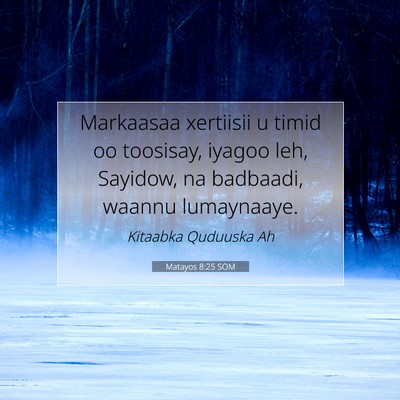 Picture 07 - Matayos 8:25 SOM - Markaasaa xertiisii u timid oo toosisay, iyagoo - Bible Verse Picture