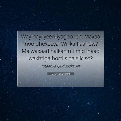 Picture 07 - Matayos 8:29 SOM - Way qayliyeen iyagoo leh, Maxaa inoo dhexeeya, - Bible Verse Picture