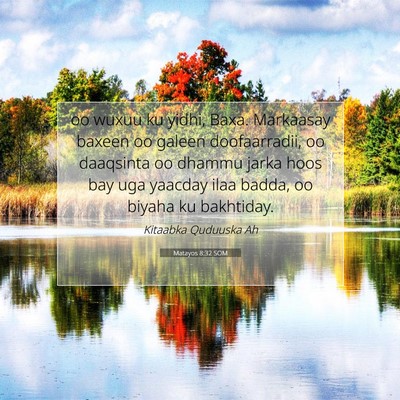 Picture 07 - Matayos 8:32 SOM - oo wuxuu ku yidhi, Baxa. Markaasay baxeen oo - Bible Verse Picture