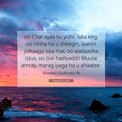Picture 07 - Matayos 8:4 SOM - oo Ciise ayaa ku yidhi, Iska eeg, oo ninna ha u - Bible Verse Picture
