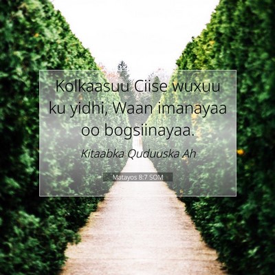 Picture 07 - Matayos 8:7 SOM - Kolkaasuu Ciise wuxuu ku yidhi, Waan imanayaa oo - Bible Verse Picture