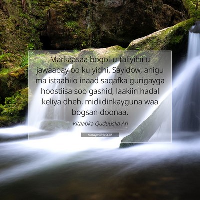 Picture 07 - Matayos 8:8 SOM - Markaasaa boqol-u-taliyihii u jawaabay oo ku - Bible Verse Picture