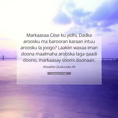 Picture 07 - Matayos 9:15 SOM - Markaasaa Ciise ku yidhi, Dadka aroosku ma - Bible Verse Picture