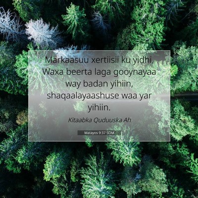 Picture 07 - Matayos 9:37 SOM - Markaasuu xertiisii ku yidhi, Waxa beerta laga - Bible Verse Picture