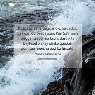 Picture 07 - Miikaah 1:11 SOM - Kaaga Shaafiir degganow, bax adoo qaawan oo - Bible Verse Picture