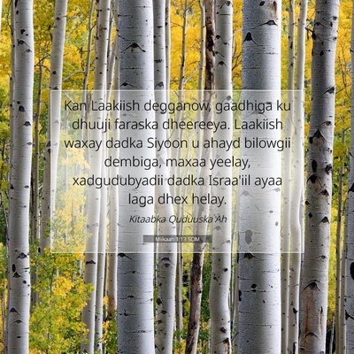 Picture 07 - Miikaah 1:13 SOM - Kan Laakiish degganow, gaadhiga ku dhuuji faraska - Bible Verse Picture