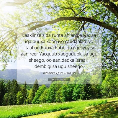 Picture 07 - Miikaah 3:8 SOM - Laakiinse sida runta ah aniga waxaa iga buuxa - Bible Verse Picture