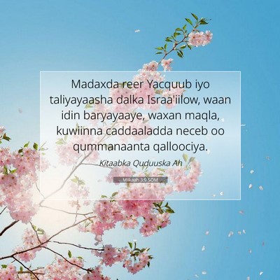 Picture 07 - Miikaah 3:9 SOM - Madaxda reer Yacquub iyo taliyayaasha dalka - Bible Verse Picture