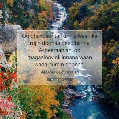 Picture 07 - Miikaah 5:14 SOM - Oo dhexbadhtankiinna waan ka rujin doonaa - Bible Verse Picture