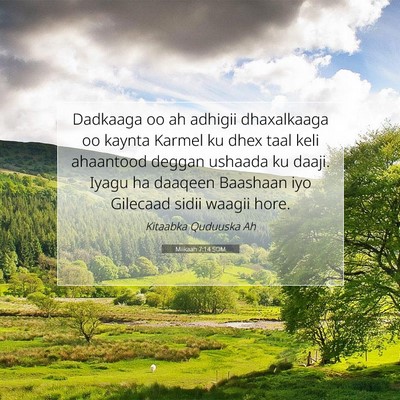 Picture 07 - Miikaah 7:14 SOM - Dadkaaga oo ah adhigii dhaxalkaaga oo kaynta - Bible Verse Picture