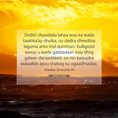 Picture 07 - Miikaah 7:2 SOM - Dadkii cibaadada lahaa wuu ka wada baabba'ay - Bible Verse Picture