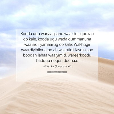 Picture 07 - Miikaah 7:4 SOM - Kooda ugu wanaagsanu waa sidii qodxan oo kale, - Bible Verse Picture