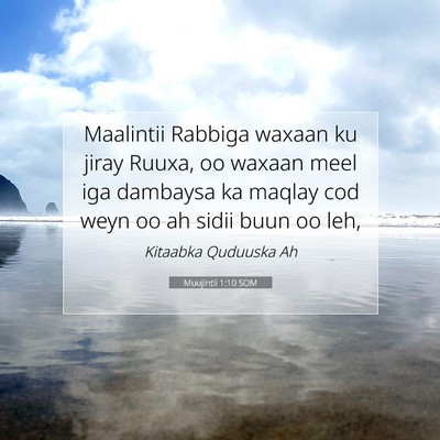 Picture 07 - Muujintii 1:10 SOM - Maalintii Rabbiga waxaan ku jiray Ruuxa, oo - Bible Verse Picture